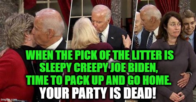 Jill, Pick Him Up, Take Him Home, Be a Good Wife! | WHEN THE PICK OF THE LITTER IS
SLEEPY CREEPY JOE BIDEN, 
TIME TO PACK UP AND GO HOME. YOUR PARTY IS DEAD! | image tagged in politics,political meme,joe biden,democrats,sad,dementia | made w/ Imgflip meme maker