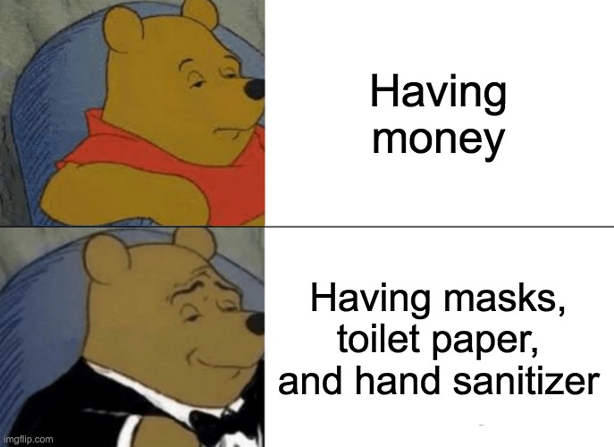 Tuxedo Winnie The Pooh | Having money; Having masks, toilet paper, and hand sanitizer | image tagged in memes,tuxedo winnie the pooh | made w/ Imgflip meme maker
