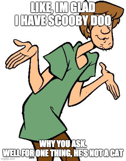 Shaggy from Scooby Doo | LIKE, IM GLAD I HAVE SCOOBY DOO; WHY YOU ASK.
WELL FOR ONE THING, HE'S NOT A CAT | image tagged in shaggy from scooby doo | made w/ Imgflip meme maker