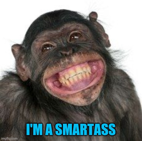 Grinning Chimp | I'M A SMARTASS | image tagged in grinning chimp | made w/ Imgflip meme maker