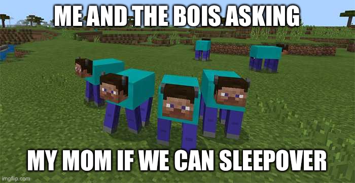 The bois vibing | ME AND THE BOIS ASKING; MY MOM IF WE CAN SLEEPOVER | image tagged in me and the boys | made w/ Imgflip meme maker
