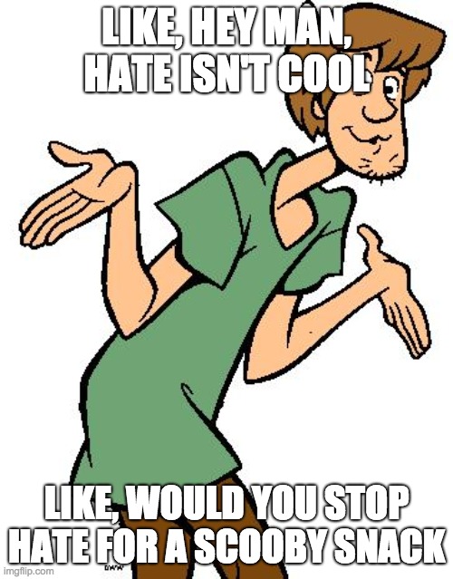Shaggy from Scooby Doo |  LIKE, HEY MAN, HATE ISN'T COOL; LIKE, WOULD YOU STOP HATE FOR A SCOOBY SNACK | image tagged in shaggy from scooby doo | made w/ Imgflip meme maker