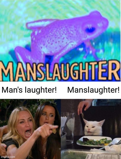 Cat is always right... | Manslaughter! Man's laughter! | image tagged in memes,woman yelling at cat,manslaughter,coolish | made w/ Imgflip meme maker