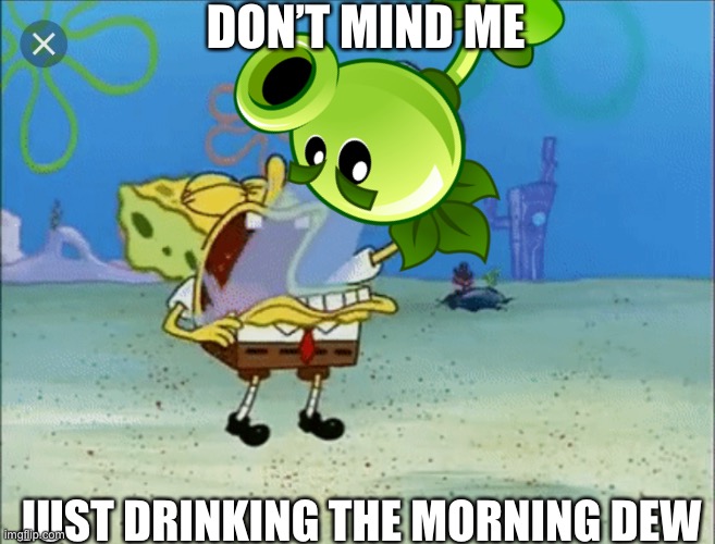 Spongebob drinking water | DON’T MIND ME JUST DRINKING THE MORNING DEW | image tagged in spongebob drinking water | made w/ Imgflip meme maker