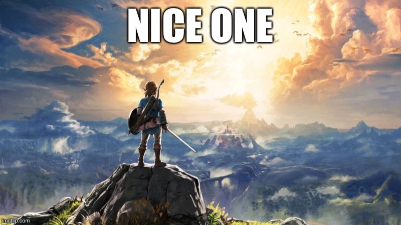 Breath of the Wild | NICE ONE | image tagged in breath of the wild | made w/ Imgflip meme maker