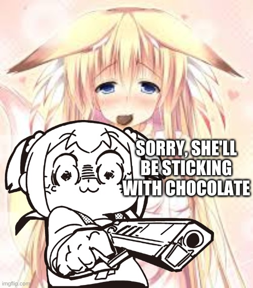 SORRY, SHE'LL BE STICKING WITH CHOCOLATE | made w/ Imgflip meme maker