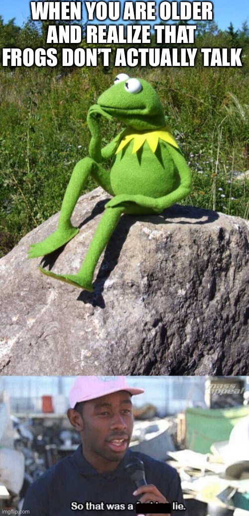 LIES | WHEN YOU ARE OLDER AND REALIZE THAT FROGS DON’T ACTUALLY TALK | image tagged in kermit-thinking,so that was a lie | made w/ Imgflip meme maker