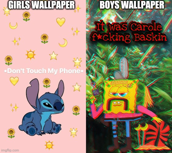 BoysVS.Girls WALLPAPER |  GIRLS WALLPAPER; BOYS WALLPAPER | image tagged in tiger king,boys vs girls | made w/ Imgflip meme maker