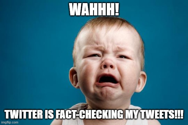 lol | WAHHH! TWITTER IS FACT-CHECKING MY TWEETS!!! | image tagged in baby crying,donald trump,twitter,first amendment,censorship,covid-19 | made w/ Imgflip meme maker