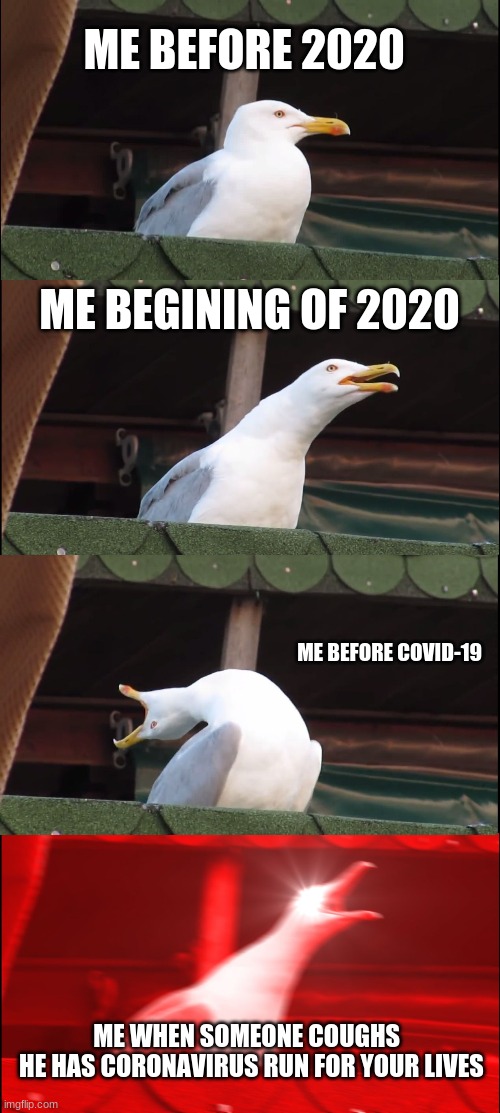 2020 in a nutshell | ME BEFORE 2020; ME BEGINING OF 2020; ME BEFORE COVID-19; ME WHEN SOMEONE COUGHS 

 HE HAS CORONAVIRUS RUN FOR YOUR LIVES | image tagged in memes,inhaling seagull | made w/ Imgflip meme maker