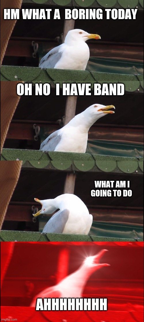 late for band | HM WHAT A  BORING TODAY; OH NO  I HAVE BAND; WHAT AM I GOING TO DO; AHHHHHHHH | image tagged in memes,inhaling seagull | made w/ Imgflip meme maker