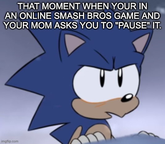 Classic | THAT MOMENT WHEN YOUR IN AN ONLINE SMASH BROS GAME AND YOUR MOM ASKS YOU TO "PAUSE" IT. | image tagged in sonic the hedgehog,that moment when,seriously wtf | made w/ Imgflip meme maker