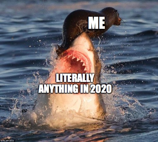 Travelonshark | ME; LITERALLY ANYTHING IN 2020 | image tagged in memes,travelonshark | made w/ Imgflip meme maker