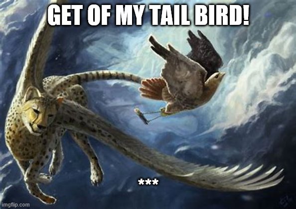 Combined | GET OF MY TAIL BIRD! *** | image tagged in cheater | made w/ Imgflip meme maker