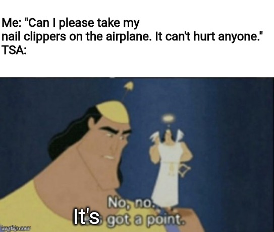 No, it has a point | Me: "Can I please take my nail clippers on the airplane. It can't hurt anyone."
TSA:; It's | image tagged in no no hes got a point,tsa,airport,security | made w/ Imgflip meme maker