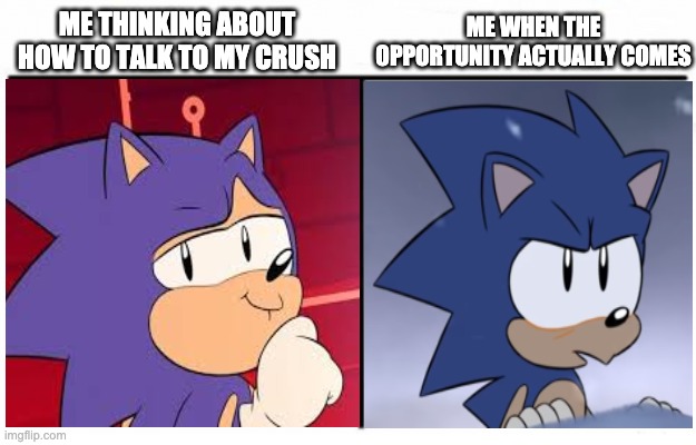 Somewhat relatable | ME WHEN THE OPPORTUNITY ACTUALLY COMES; ME THINKING ABOUT HOW TO TALK TO MY CRUSH | image tagged in sonic the hedgehog,relatable,funny | made w/ Imgflip meme maker