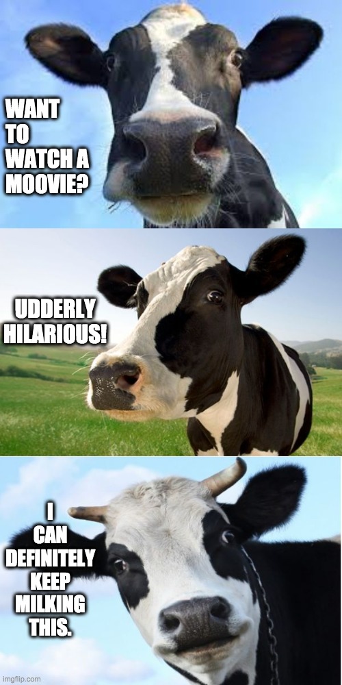 Bad cow puns | WANT TO WATCH A MOOVIE? UDDERLY HILARIOUS! I CAN DEFINITELY KEEP MILKING THIS. | image tagged in bad pun cow | made w/ Imgflip meme maker