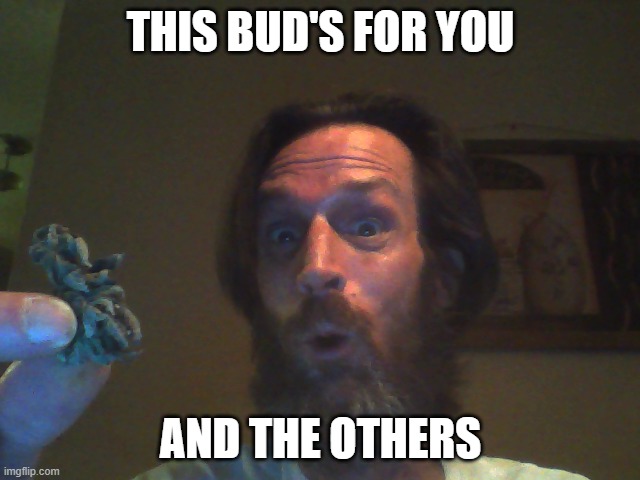 This Bud's For You | THIS BUD'S FOR YOU; AND THE OTHERS | image tagged in weed,budweiser,puns | made w/ Imgflip meme maker