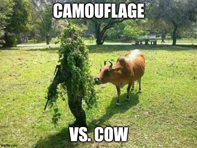 CAMOUFLAGE; VS. COW | made w/ Imgflip meme maker