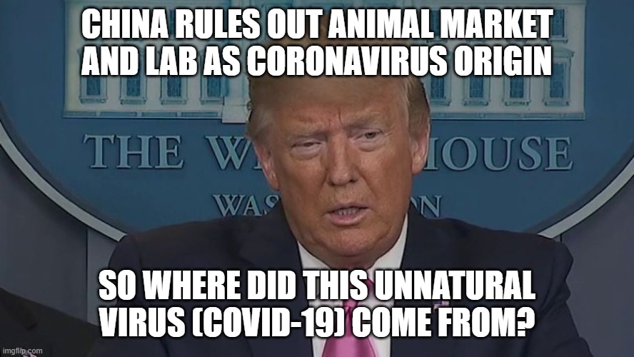 China Rules Out Animal Market and Lab as Coronavirus Origin. So Where Did This Unnatural Virus (COVID-19) Come From? | CHINA RULES OUT ANIMAL MARKET AND LAB AS CORONAVIRUS ORIGIN; SO WHERE DID THIS UNNATURAL VIRUS (COVID-19) COME FROM? | image tagged in if only you knew how bad things really are | made w/ Imgflip meme maker
