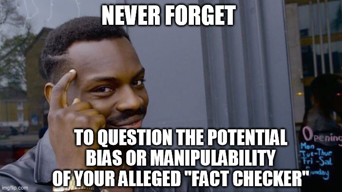 Roll Safe Think About It Meme | NEVER FORGET TO QUESTION THE POTENTIAL BIAS OR MANIPULABILITY OF YOUR ALLEGED "FACT CHECKER" | image tagged in memes,roll safe think about it | made w/ Imgflip meme maker