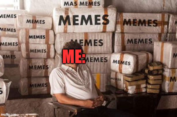 me and memes | ME: | image tagged in memes | made w/ Imgflip meme maker