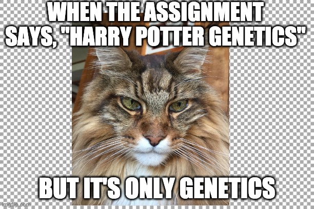 Clickbait | WHEN THE ASSIGNMENT SAYS, "HARRY POTTER GENETICS"; BUT IT'S ONLY GENETICS | image tagged in free | made w/ Imgflip meme maker