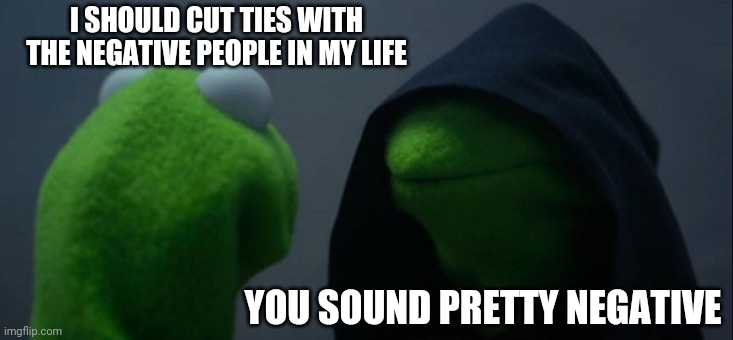 Evil Kermit | I SHOULD CUT TIES WITH THE NEGATIVE PEOPLE IN MY LIFE; YOU SOUND PRETTY NEGATIVE | image tagged in memes,evil kermit | made w/ Imgflip meme maker