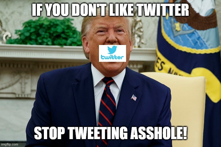 Tweet, Tweet, Tweety Bird Brain | IF YOU DON'T LIKE TWITTER; STOP TWEETING ASSHOLE! | image tagged in twitter tweeter,trump tweet,donald trump is an idiot | made w/ Imgflip meme maker