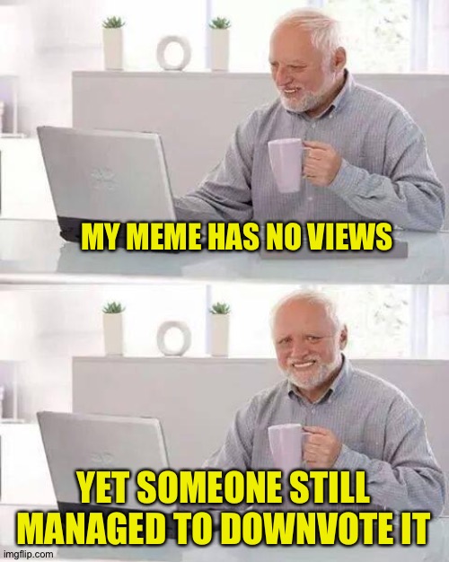Hide the Pain Harold | MY MEME HAS NO VIEWS; YET SOMEONE STILL MANAGED TO DOWNVOTE IT | image tagged in memes,hide the pain harold | made w/ Imgflip meme maker