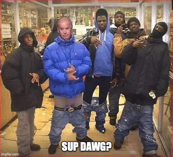 SUP DAWG? | image tagged in biden,black | made w/ Imgflip meme maker