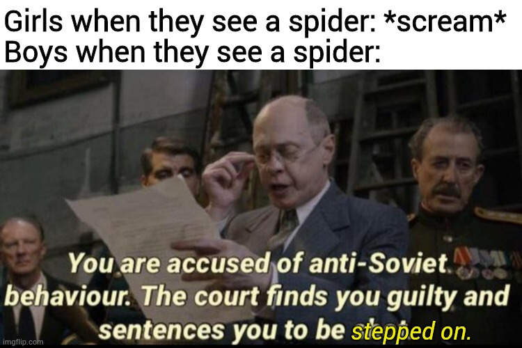 Anti Soviet behavior | Girls when they see a spider: *scream*
Boys when they see a spider:; stepped on. | image tagged in you are accused of anti-soviet behavior | made w/ Imgflip meme maker