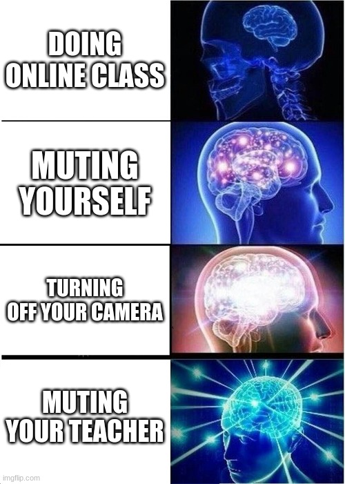 Expanding Brain Meme | DOING ONLINE CLASS; MUTING YOURSELF; TURNING OFF YOUR CAMERA; MUTING YOUR TEACHER | image tagged in memes,expanding brain | made w/ Imgflip meme maker