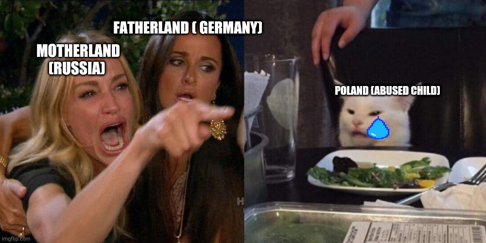 Ww2 memories | FATHERLAND ( GERMANY); MOTHERLAND (RUSSIA); POLAND (ABUSED CHILD) | image tagged in woman yelling at cat | made w/ Imgflip meme maker