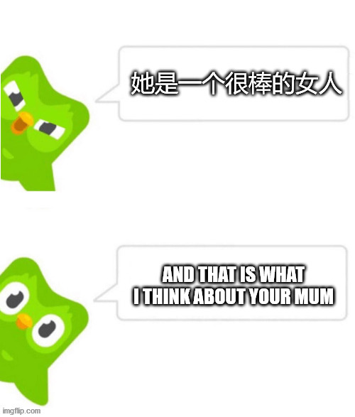 When you don't practice chinese in 1 month | AND THAT IS WHAT I THINK ABOUT YOUR MUM | image tagged in duolingo,meme,chinese | made w/ Imgflip meme maker