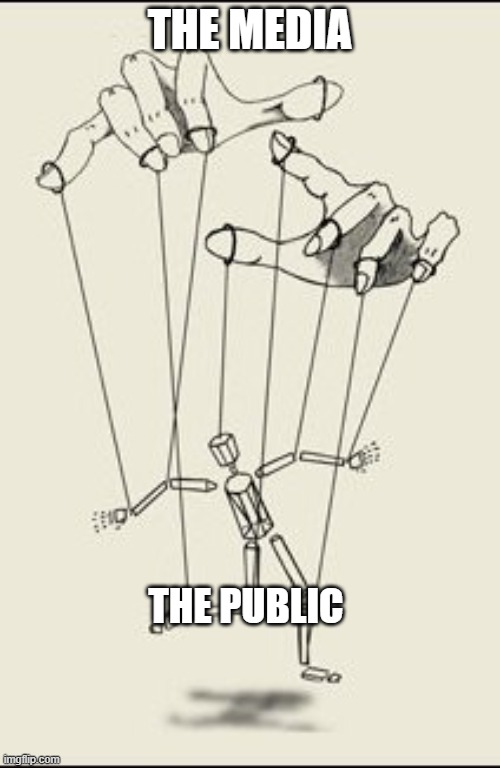 Puppet master | THE MEDIA; THE PUBLIC | image tagged in puppet master | made w/ Imgflip meme maker