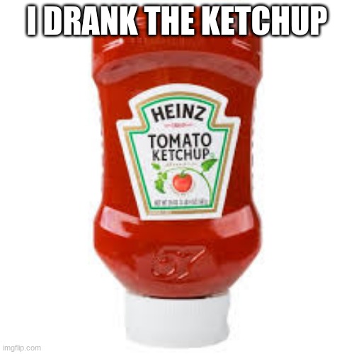 I Regret Nothing | I DRANK THE KETCHUP | image tagged in ketchup | made w/ Imgflip meme maker