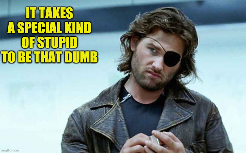 IT TAKES A SPECIAL KIND OF STUPID TO BE THAT DUMB | made w/ Imgflip meme maker