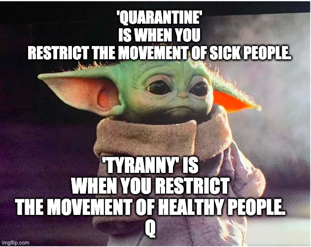 Sad Baby Yoda | 'QUARANTINE' IS WHEN YOU RESTRICT THE MOVEMENT OF SICK PEOPLE. 'TYRANNY' IS WHEN YOU RESTRICT THE MOVEMENT OF HEALTHY PEOPLE.
Q | image tagged in sad baby yoda | made w/ Imgflip meme maker