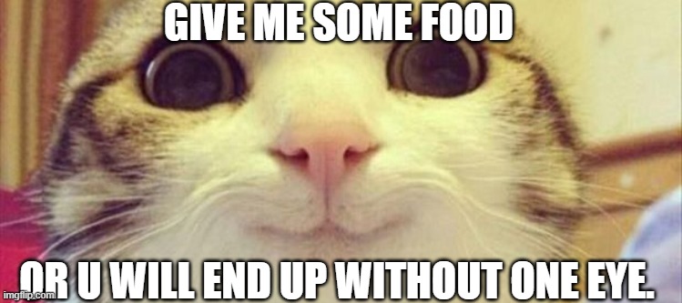 food | GIVE ME SOME FOOD; OR U WILL END UP WITHOUT ONE EYE. | image tagged in bad luck brian | made w/ Imgflip meme maker