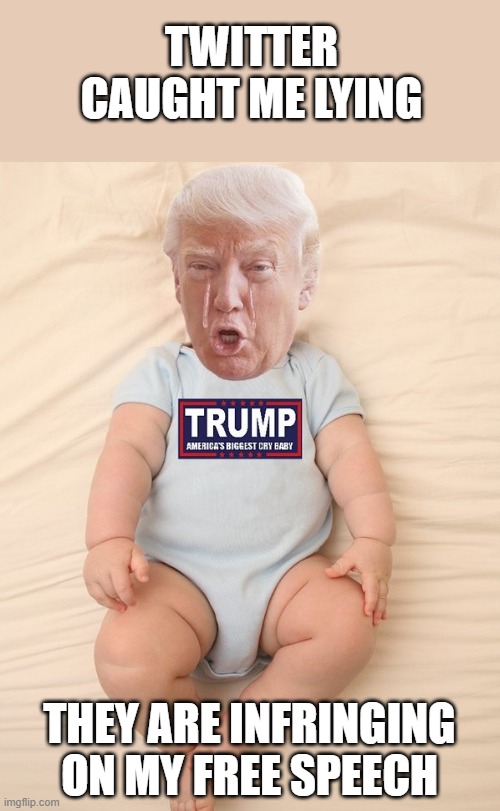 President Cry Baby | TWITTER CAUGHT ME LYING; THEY ARE INFRINGING ON MY FREE SPEECH | image tagged in memes,politics,donald trump is an idiot,snowflake,crying baby,maga | made w/ Imgflip meme maker