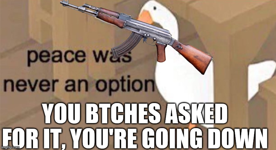 You haters are DONE | YOU BTCHES ASKED FOR IT, YOU'RE GOING DOWN | image tagged in untitled goose peace was never an option | made w/ Imgflip meme maker