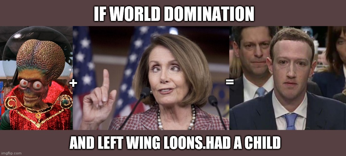 IF WORLD DOMINATION; =; +; AND LEFT WING LOONS.HAD A CHILD | image tagged in nancy pelosi,suckerberg | made w/ Imgflip meme maker