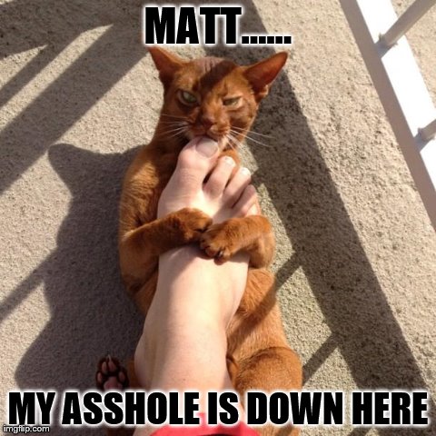 MATT...... MY ASSHOLE IS DOWN HERE | made w/ Imgflip meme maker
