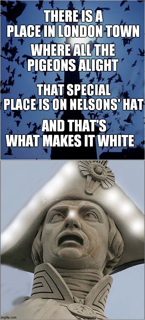 A Poem On Nelsons Hat | THERE IS A PLACE IN LONDON TOWN; WHERE ALL THE PIGEONS ALIGHT; AND THAT'S WHAT MAKES IT WHITE; THAT SPECIAL PLACE IS ON NELSONS' HAT | image tagged in fun,pigeons,nelson,poem | made w/ Imgflip meme maker