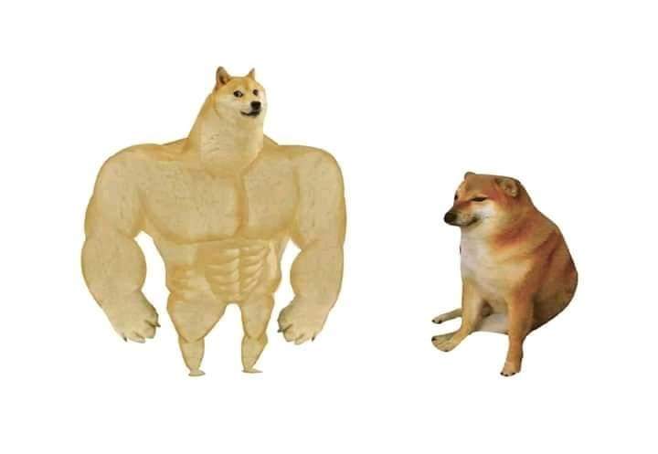 High Quality doge then and now Blank Meme Template