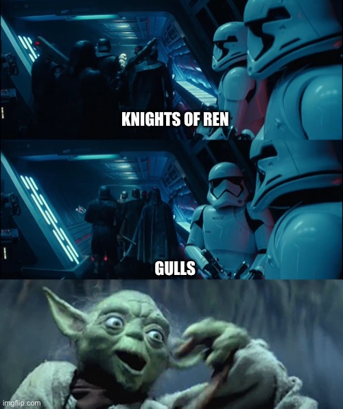 Avoid the beaches | KNIGHTS OF REN; GULLS | image tagged in star wars,star wars yoda,the rise of skywalker,seagull,yoda | made w/ Imgflip meme maker