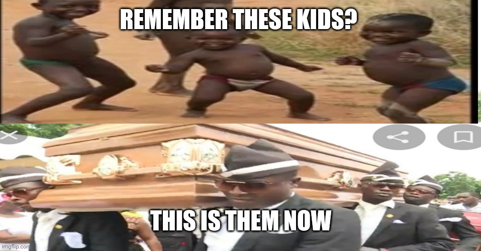 REMEMBER THESE KIDS? THIS IS THEM NOW | image tagged in coffin dance | made w/ Imgflip meme maker