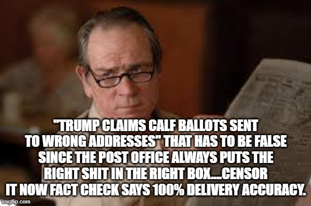 no country for old men tommy lee jones | "TRUMP CLAIMS CALF BALLOTS SENT TO WRONG ADDRESSES" THAT HAS TO BE FALSE SINCE THE POST OFFICE ALWAYS PUTS THE RIGHT SHIT IN THE RIGHT BOX.. | image tagged in no country for old men tommy lee jones | made w/ Imgflip meme maker