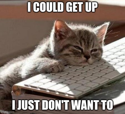 tired cat | I COULD GET UP; I JUST DON'T WANT TO | image tagged in tired cat | made w/ Imgflip meme maker